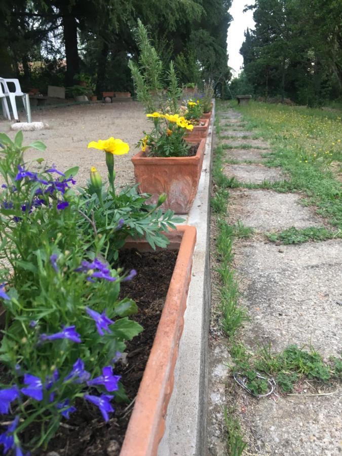 Basisa Bed&Breakfast San Lazzaro di Savena Exteriér fotografie