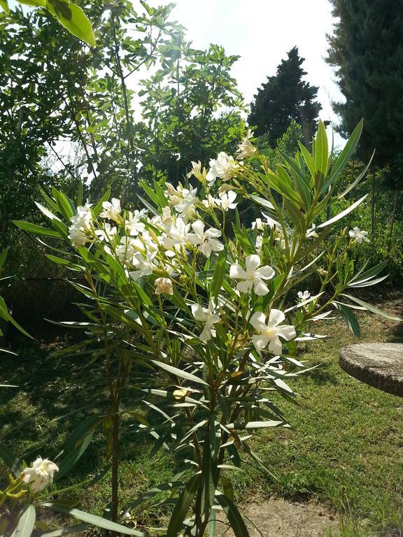 Basisa Bed&Breakfast San Lazzaro di Savena Exteriér fotografie