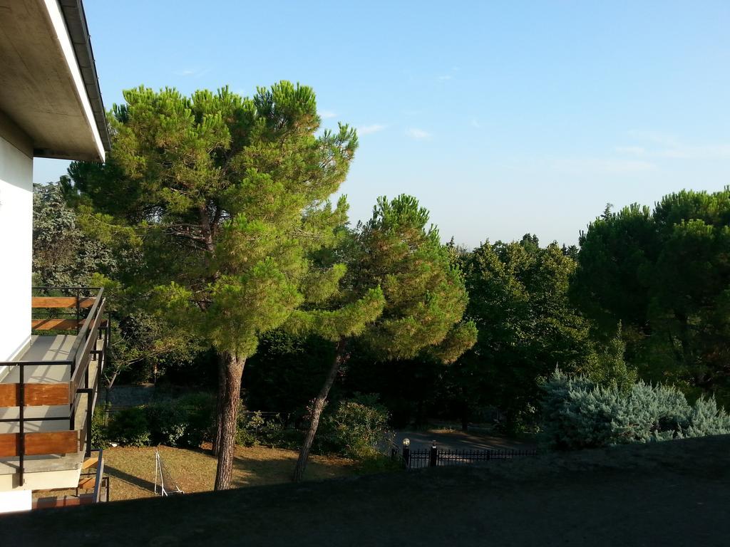 Basisa Bed&Breakfast San Lazzaro di Savena Pokoj fotografie