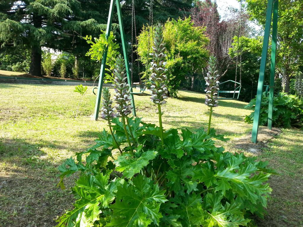 Basisa Bed&Breakfast San Lazzaro di Savena Exteriér fotografie