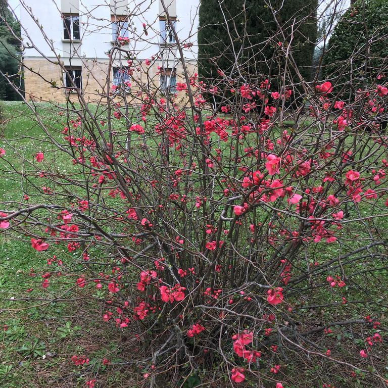 Basisa Bed&Breakfast San Lazzaro di Savena Exteriér fotografie